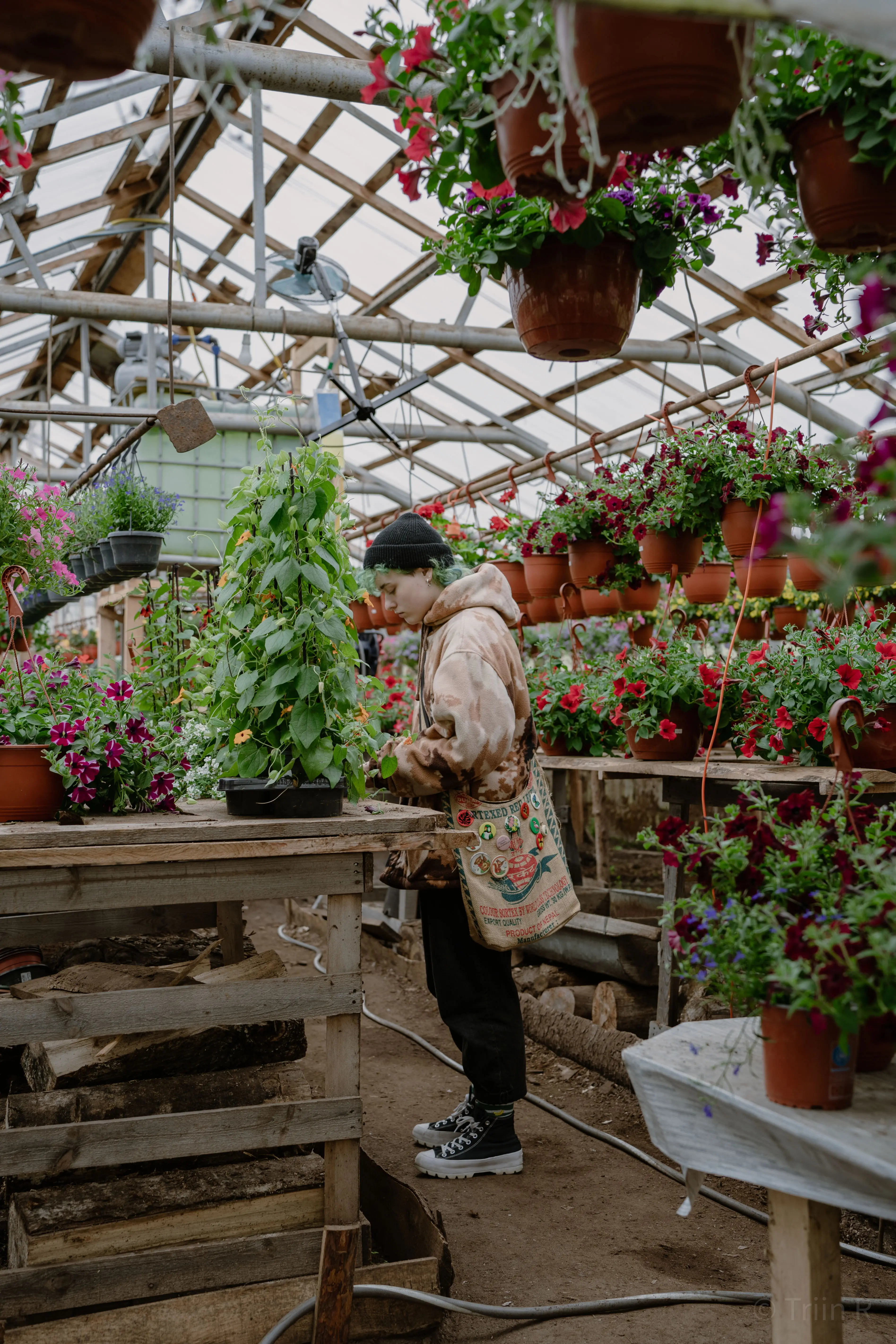 triin-portreelugu-parnu-001