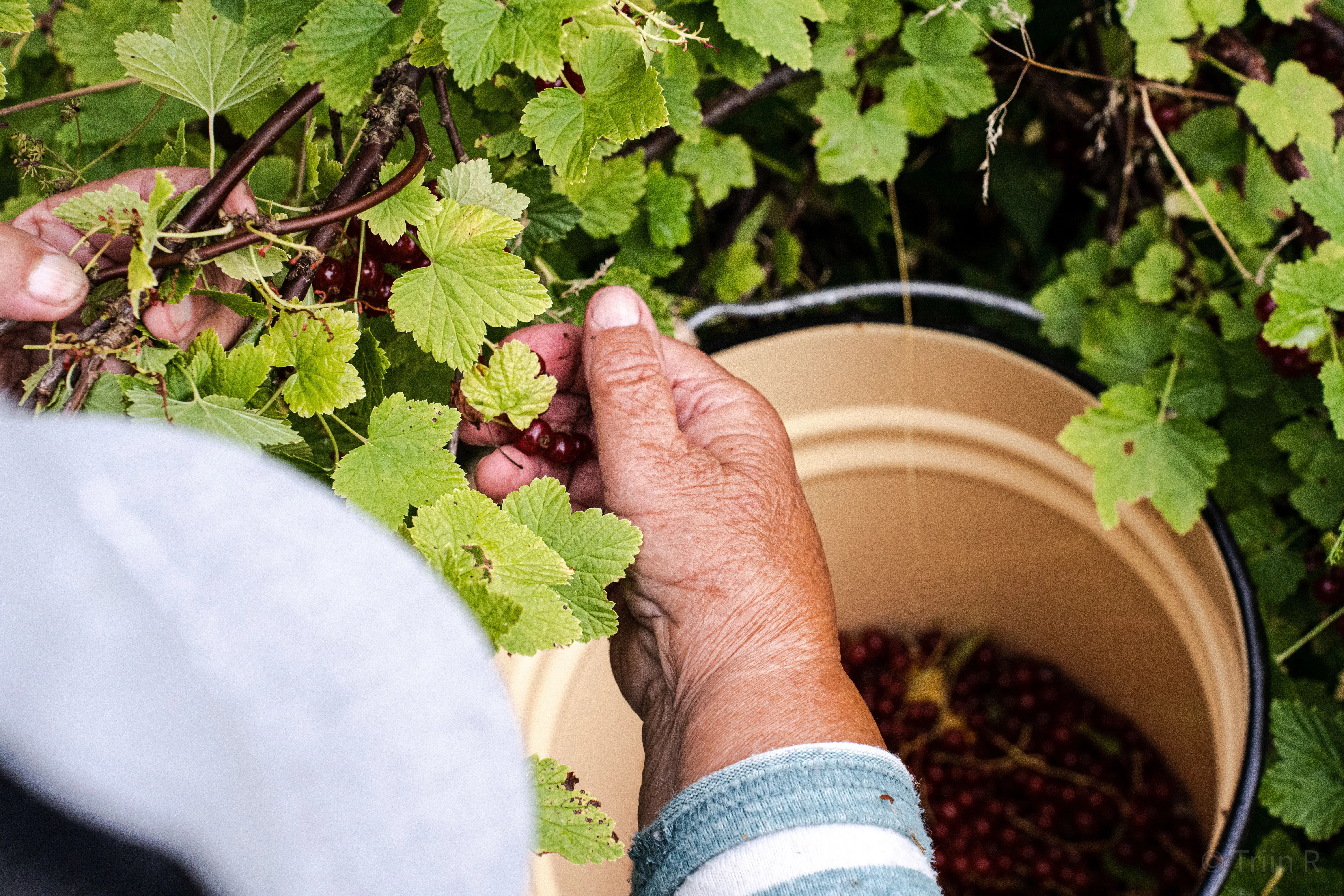 triin-portreelugu-parnu-012