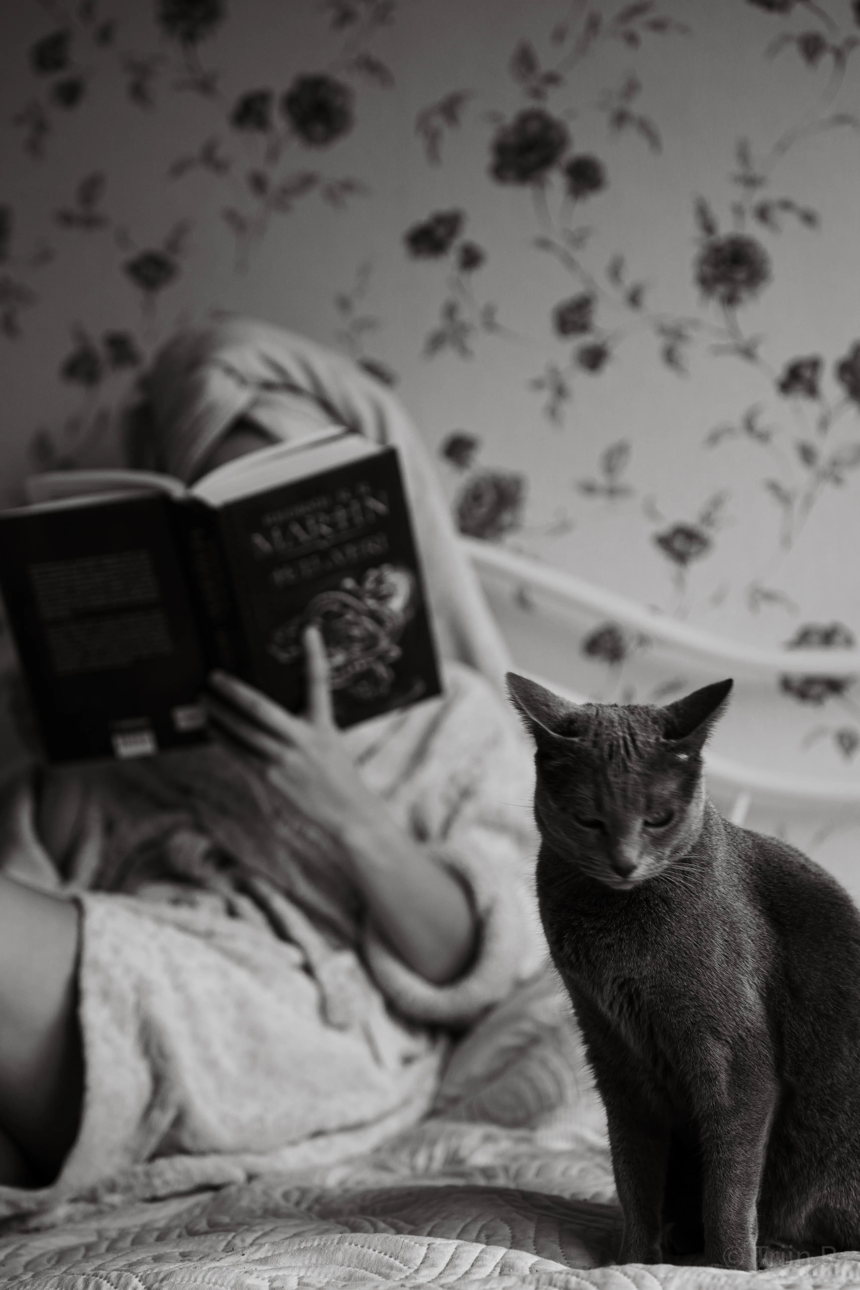 triin-portreelugu-parnu-013