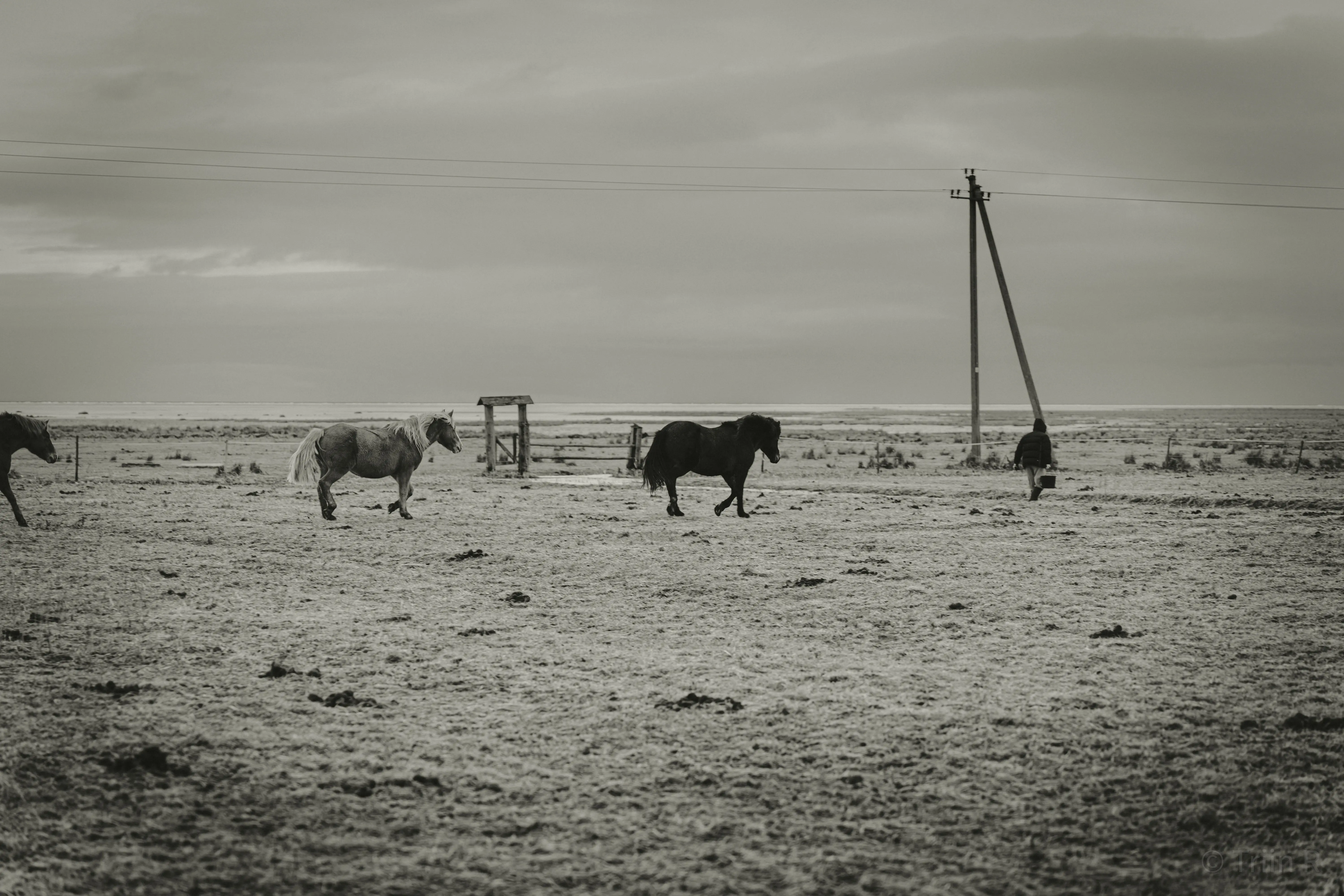 triin-portreelugu-parnu-051