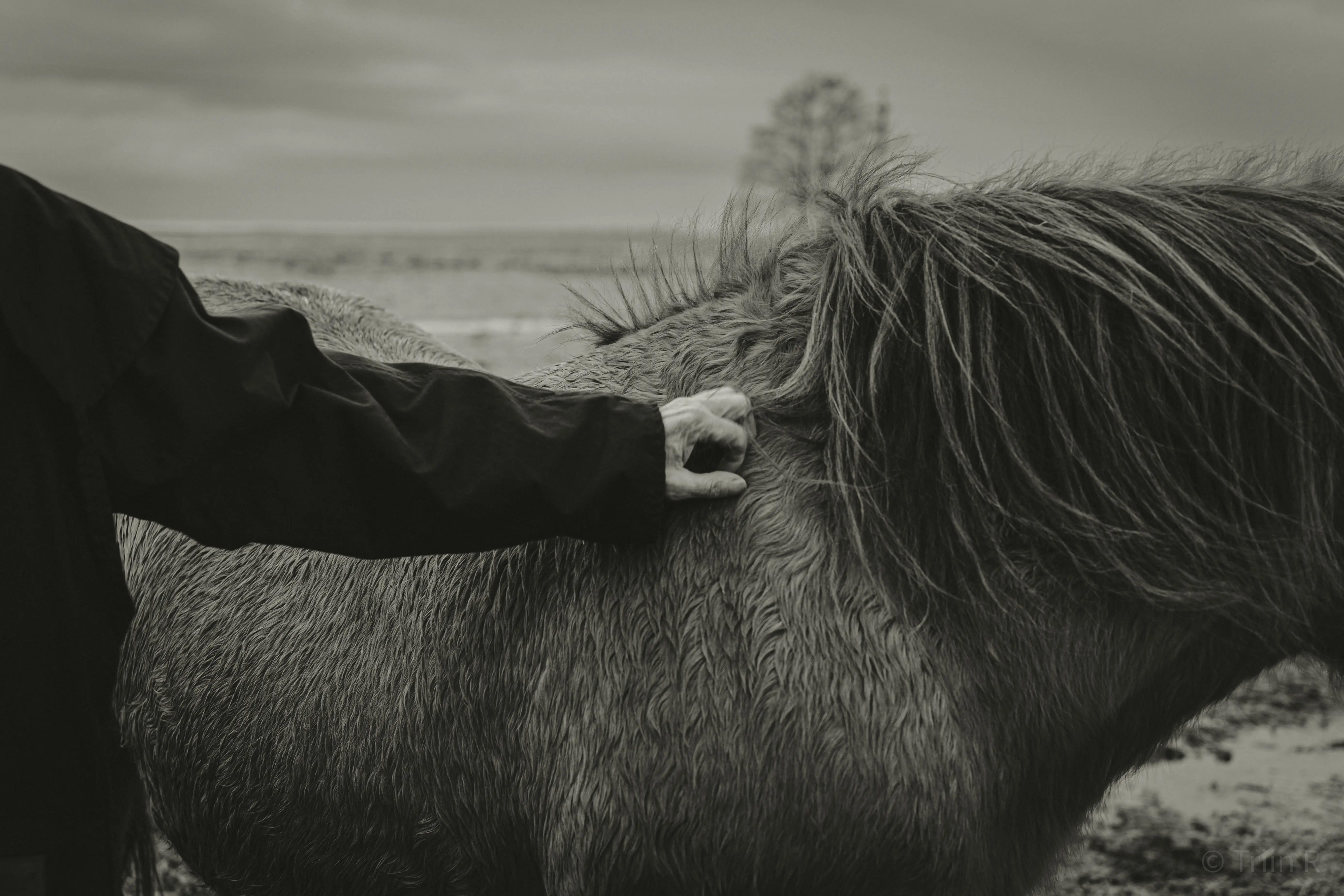 triin-portreelugu-parnu-052