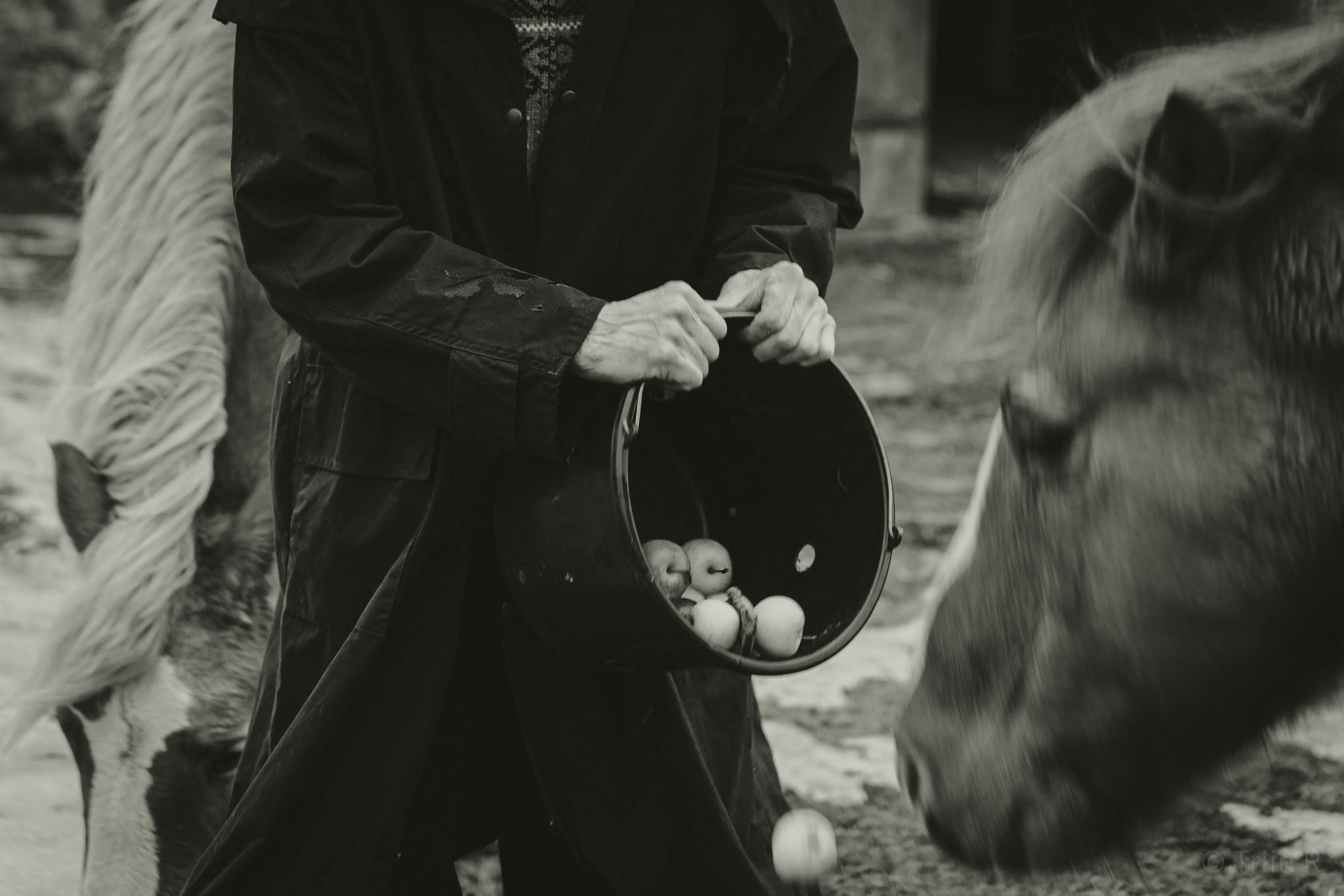 triin-portreelugu-parnu-053