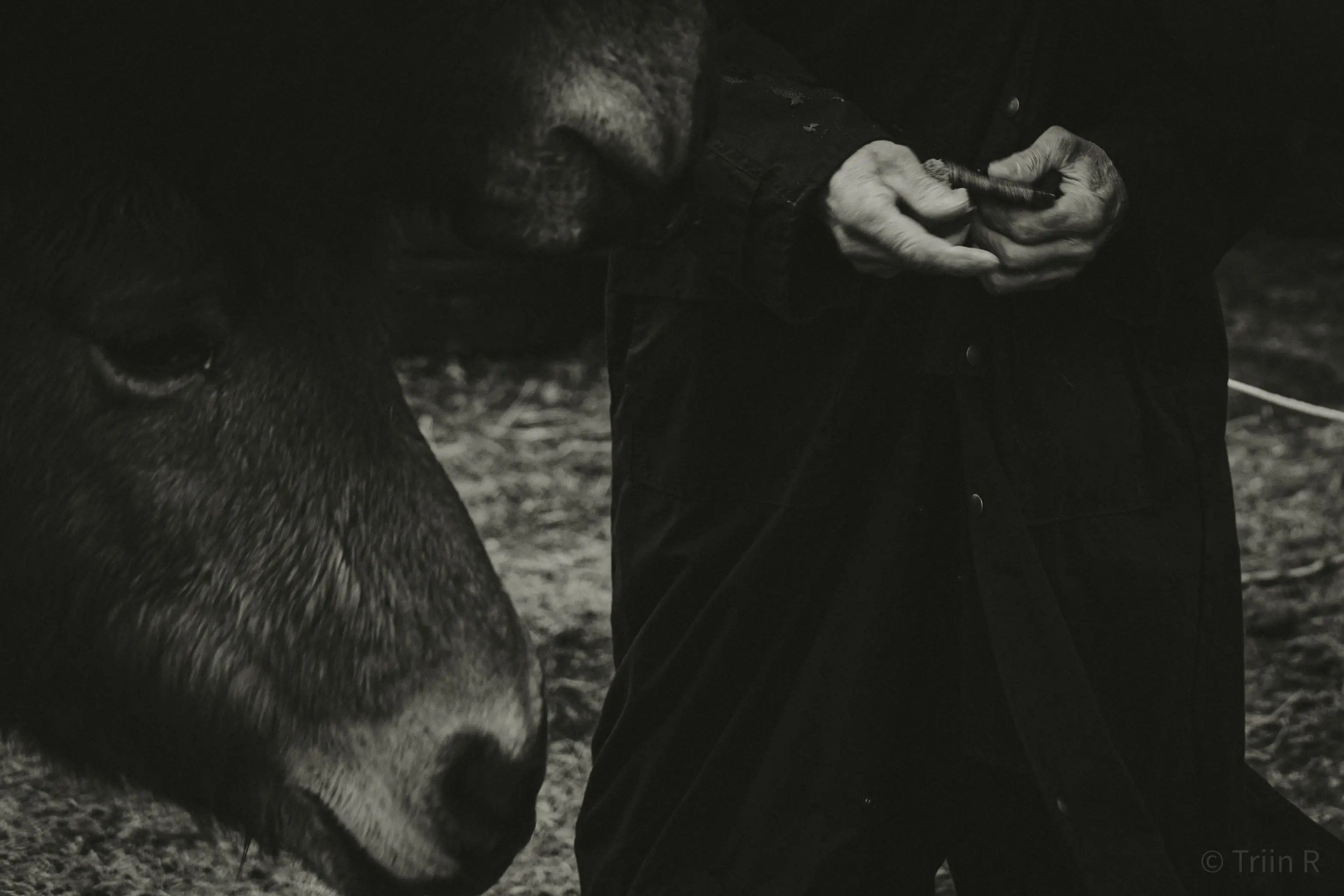 triin-portreelugu-parnu-054