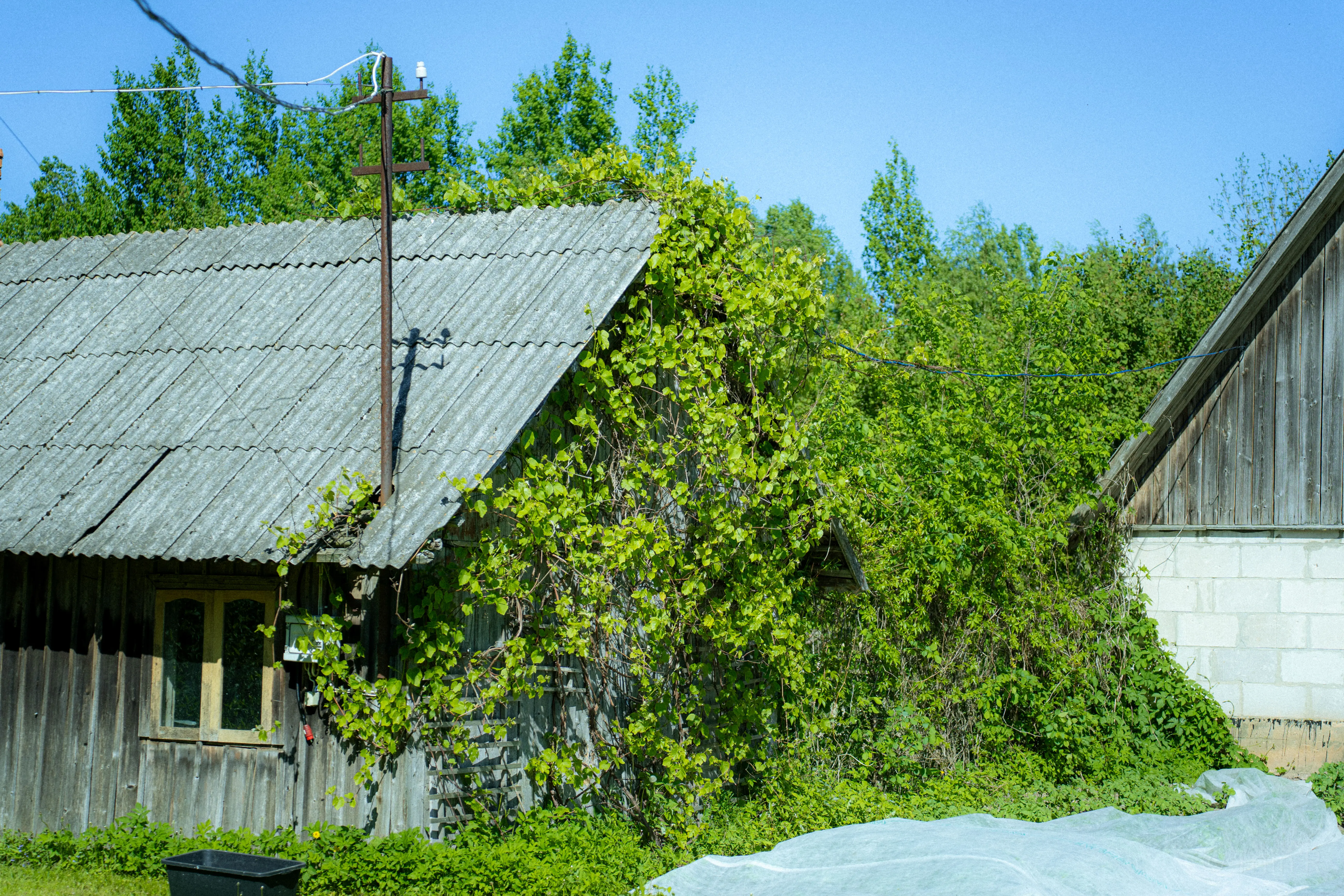 triin-portreelugu-parnu-072