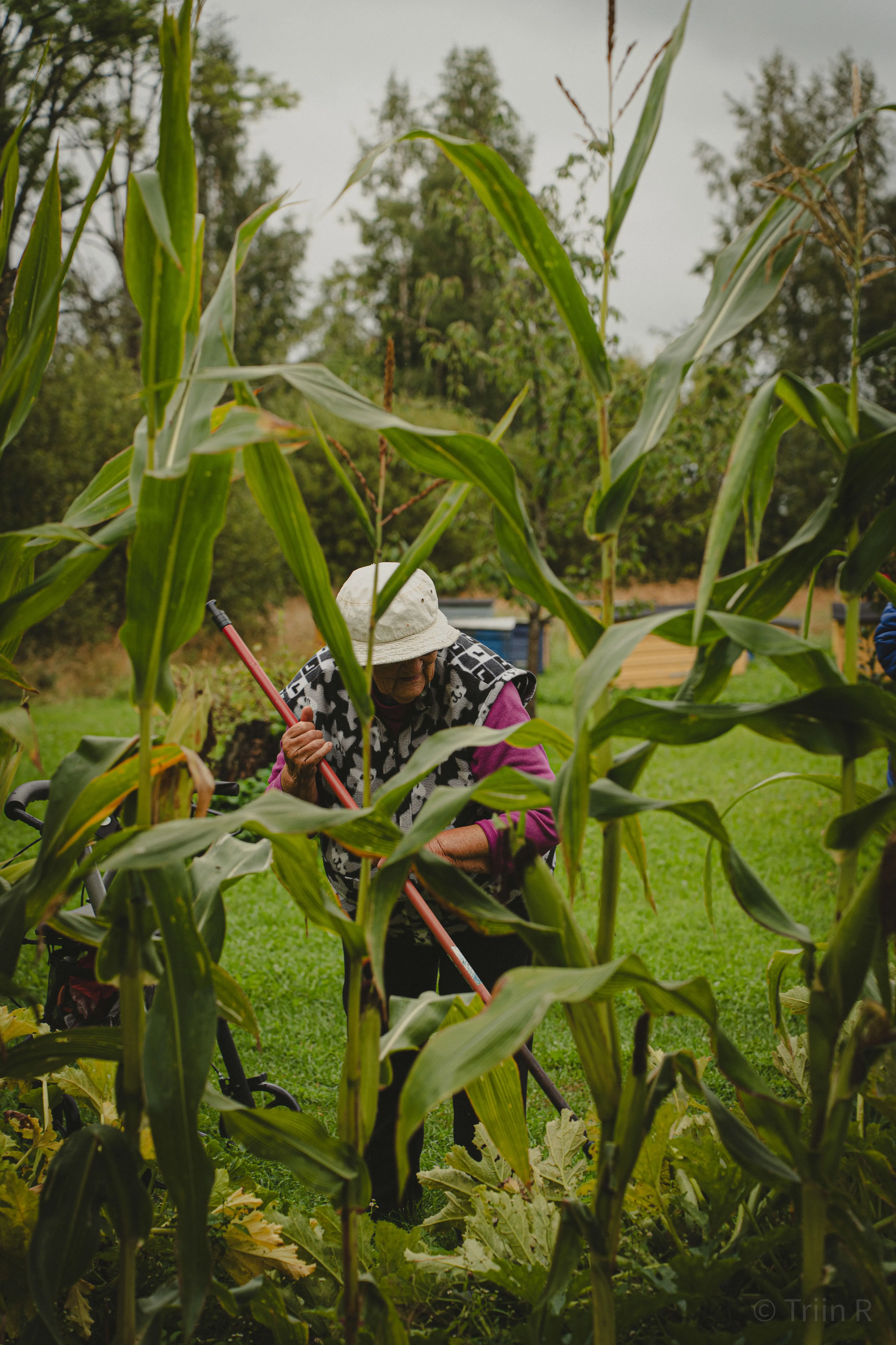 triin-portreelugu-parnu-079