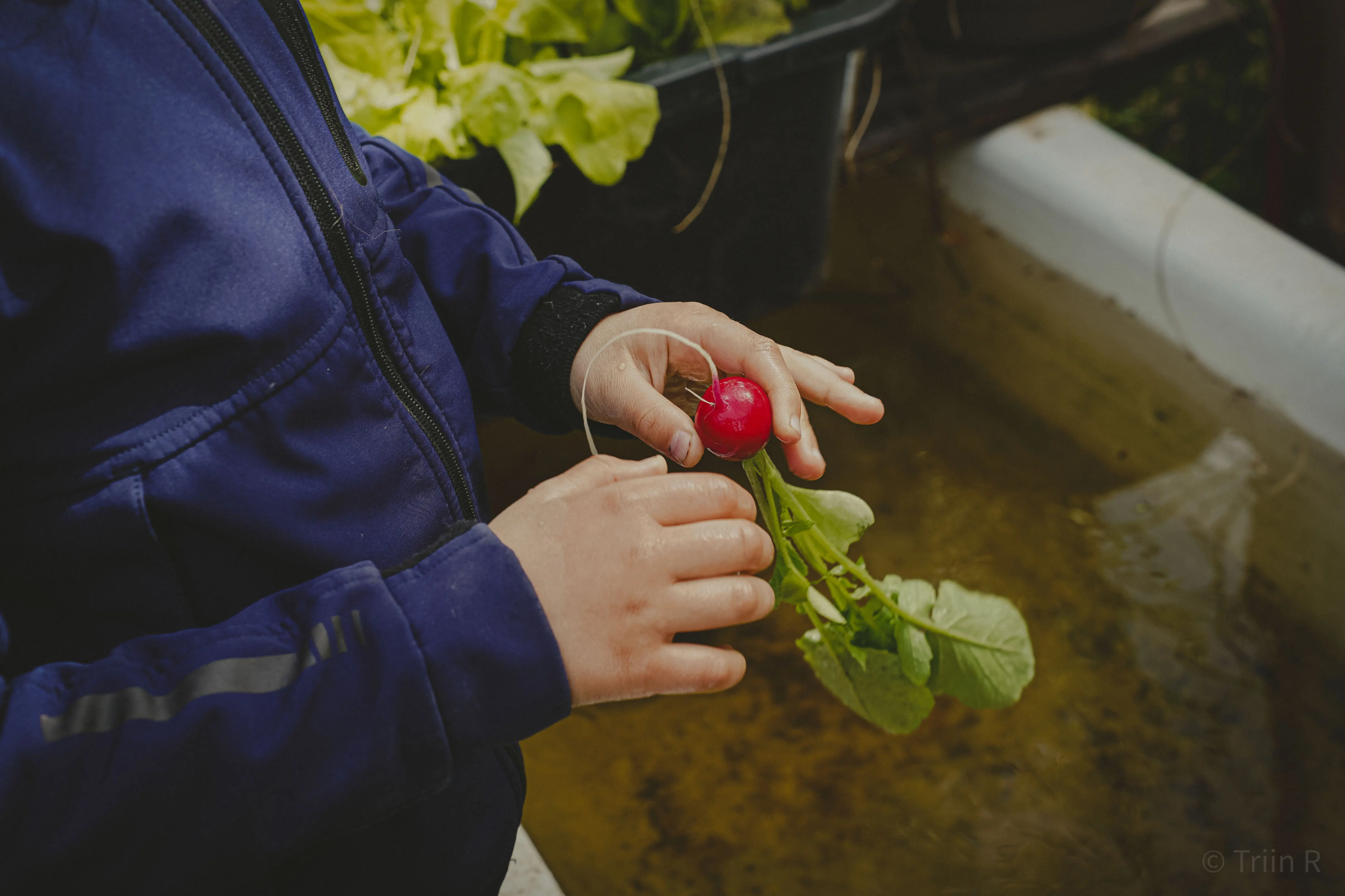 triin-portreelugu-parnu-098